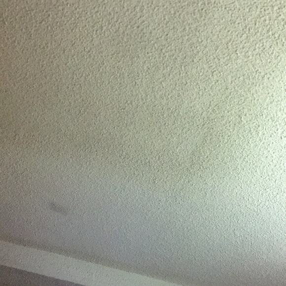 Meet your Posher, Steven - Picture 1 of 1